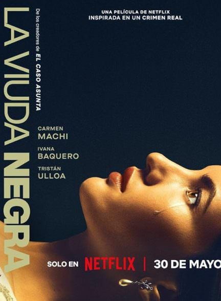 دانلود فیلم A Widow’s Game