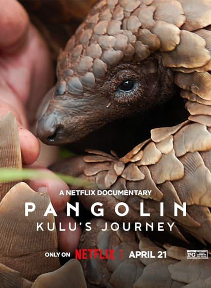 دانلود فیلم Pangolin: Kulu’s Journey