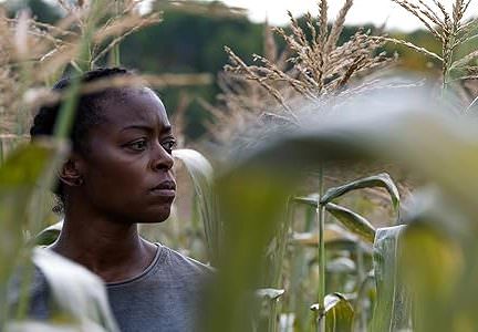 دانلود فیلم 2024 40 Acres