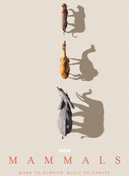 دانلود مستند Mammals پستانداران