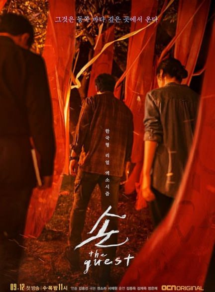 دانلود سریال مهمان Son: The Guest