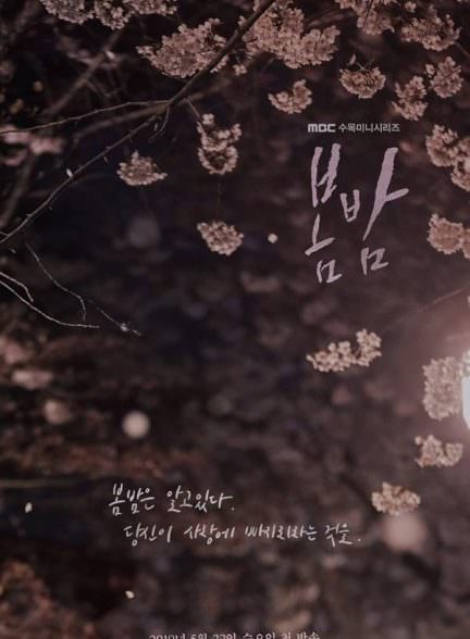 دانلود سریال یک شب بهاری  One Spring Night