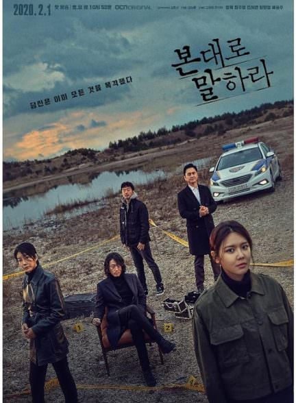 دانلود سریال Tell Me What You Saw به من بگو چه دیدی ؟