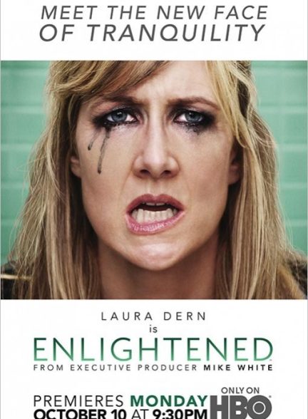 دانلود سریال  Enlightened