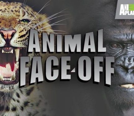 دانلود سریال 2004  Animal Face Off