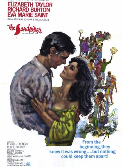 دانلود فیلم The Sandpiper