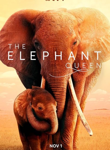 دانلود فیلم 2018 The Elephant Queen
