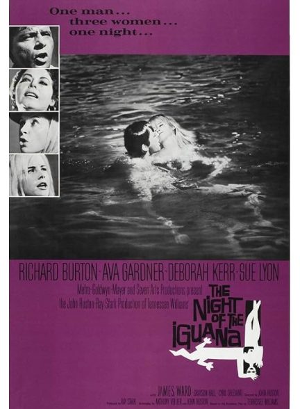 دانلود فیلم The Night of the Iguana