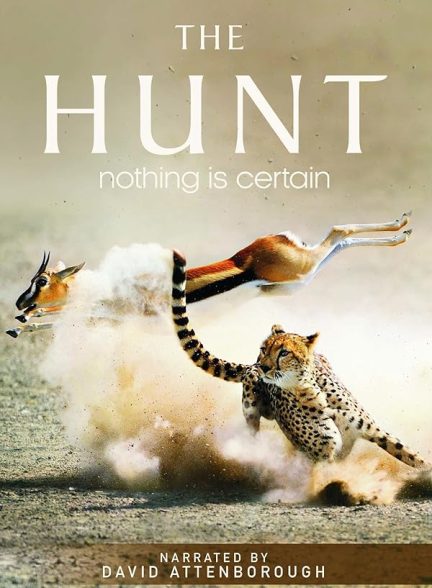 دانلود سریال  The Hunt