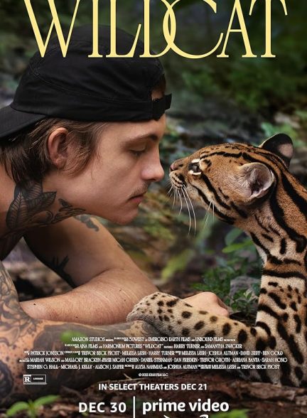 دانلود فیلم Wildcat