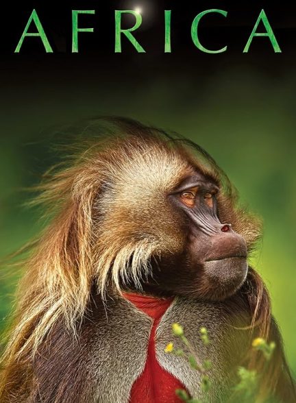 دانلود سریال  Africa