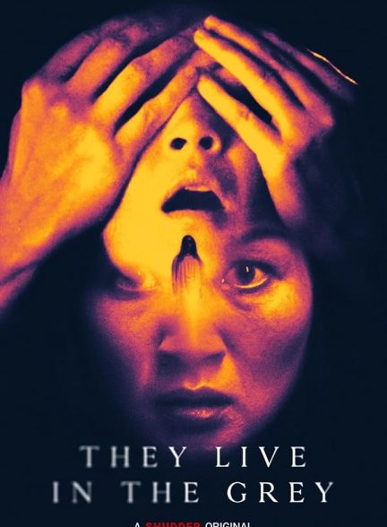دانلود فیلم They Live in the Grey