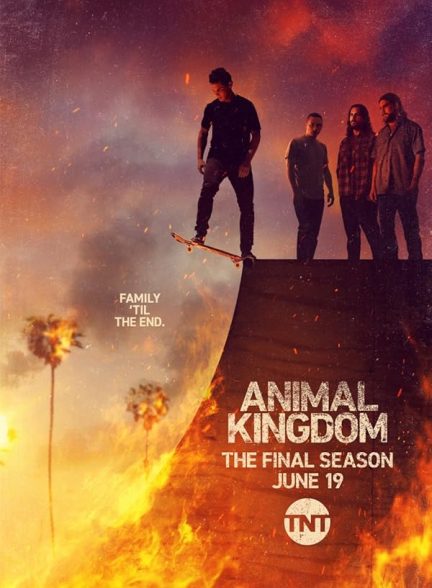 دانلود سریال  Animal Kingdom