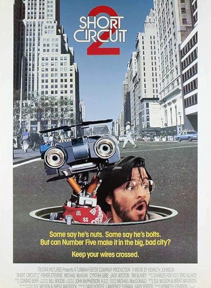 دانلود فیلم Short Circuit 2
