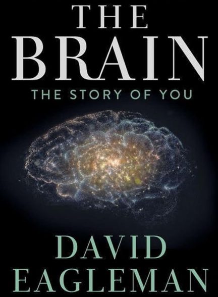 دانلود سریال  The Brain with Dr. David Eagleman