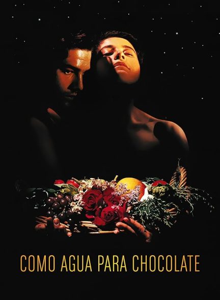 دانلود فیلم Like Water for Chocolate