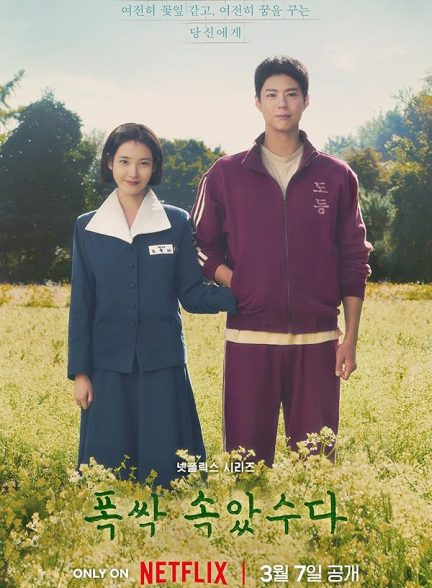 دانلود سریال  When Life Gives You Tangerines