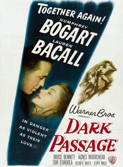 دانلود فیلم Dark Passage