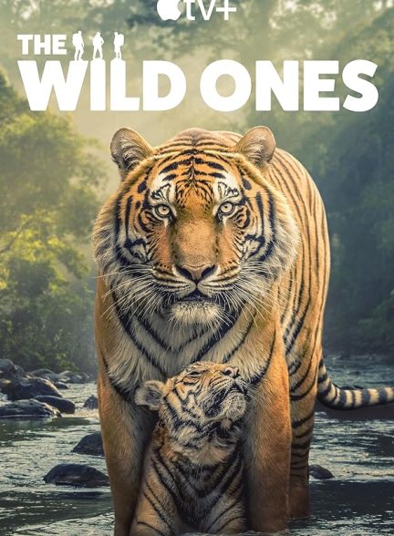 دانلود سریال  The Wild Ones
