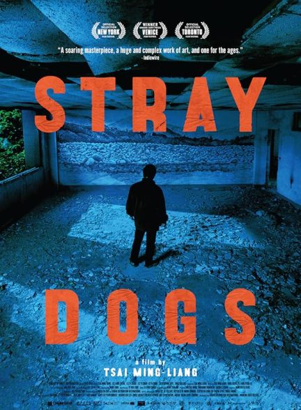 دانلود فیلم Stray Dogs
