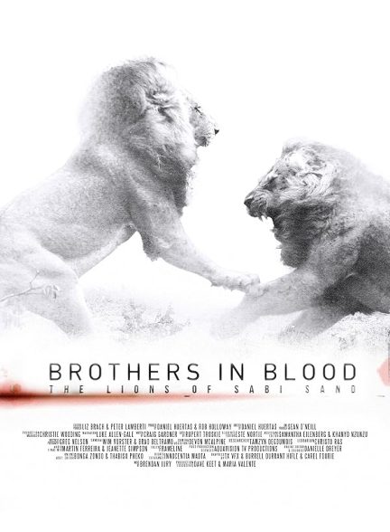دانلود فیلم Brothers in Blood: The Lions of Sabi Sand