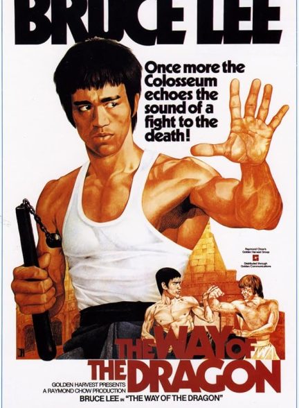 دانلود فیلم The Way of the Dragon