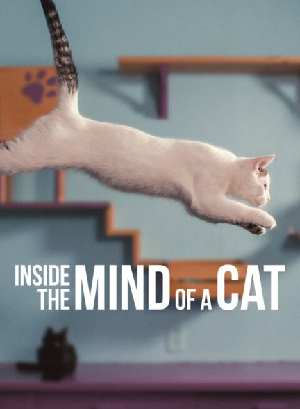 دانلود فیلم Inside the Mind of a Cat