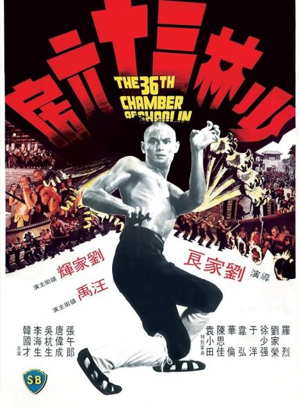 دانلود فیلم The 36th Chamber of Shaolin