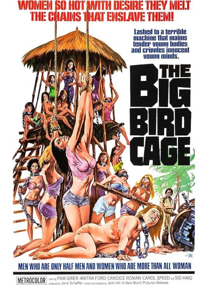 دانلود فیلم The Big Bird Cage